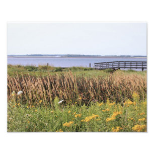 hi def photography, ocean, bridge, wild flowers photo print