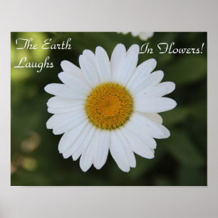 Hi def photography of a Daisy, "Earth Laughs in Poster
