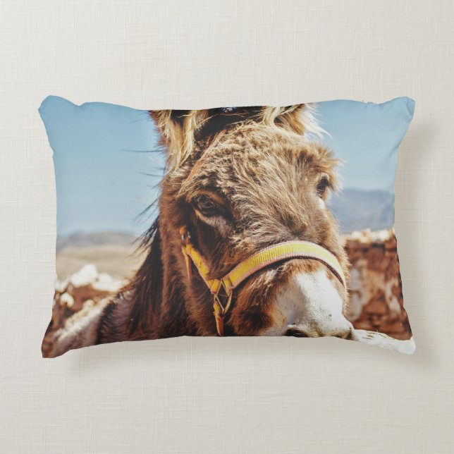 HI DONKEY DECORATIVE CUSHION (Front)
