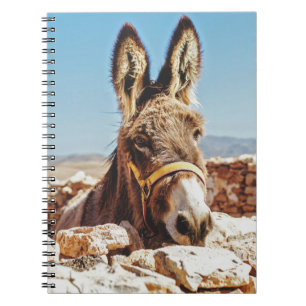 HI DONKEY NOTEBOOK