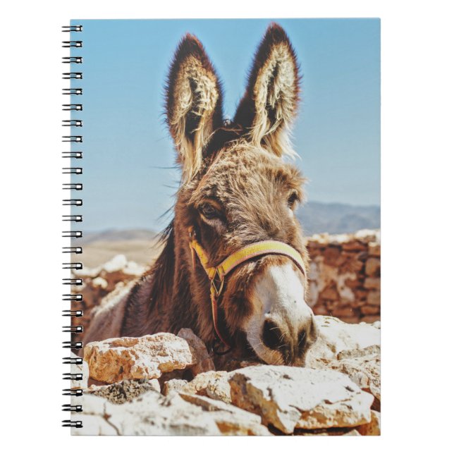 HI DONKEY NOTEBOOK (Front)