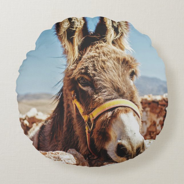 HI DONKEY ROUND CUSHION (Front)