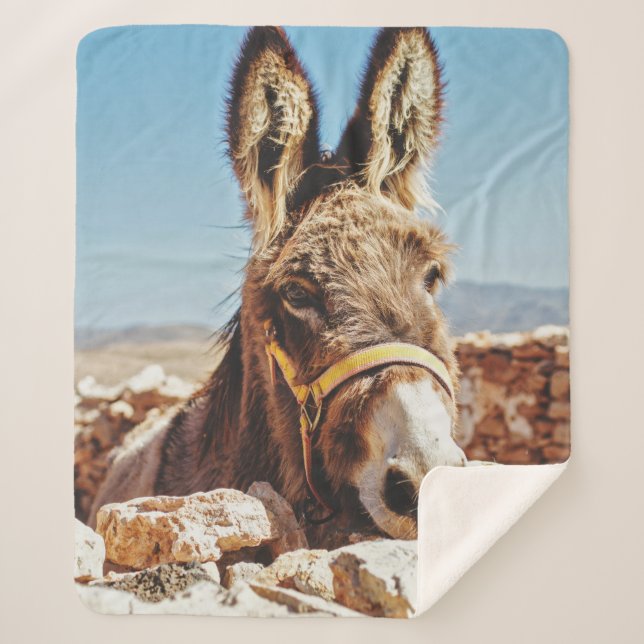 HI DONKEY SHERPA BLANKET (Front)
