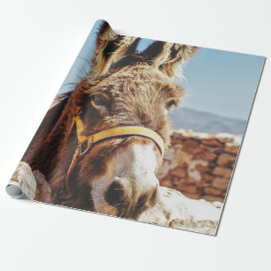 HI DONKEY WRAPPING PAPER