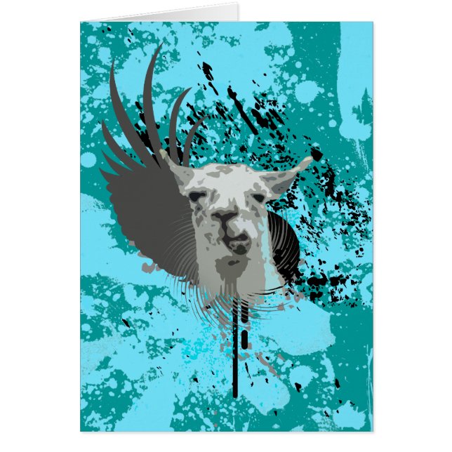 hi-fi llama. (Front)