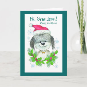 Hi, Grandson Merry Christmas Holiday Card