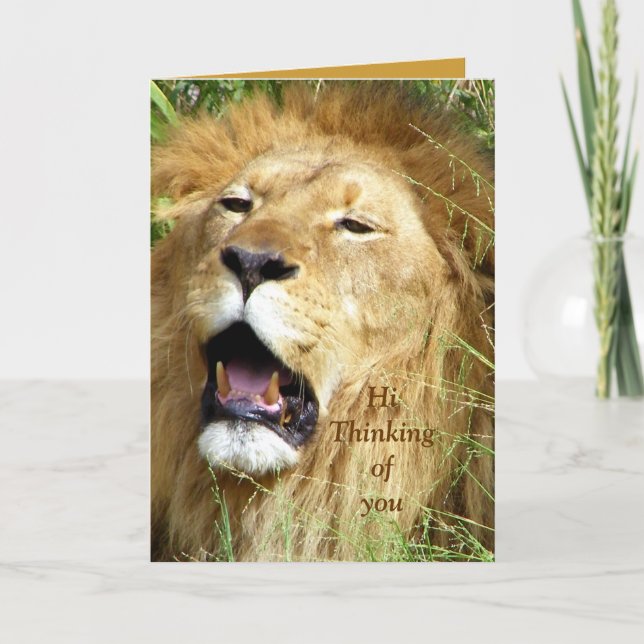 Hi,Hello_ Card (Front)