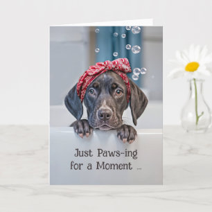 Hi Hello Cute German Shorthair Pointer in a Bath Card