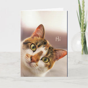 Hi Hello How are You? Cute Cat Kitten Animal Humou Card