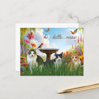 Hi Hello Meow / Cats in the Garden Cute Animal  Postcard