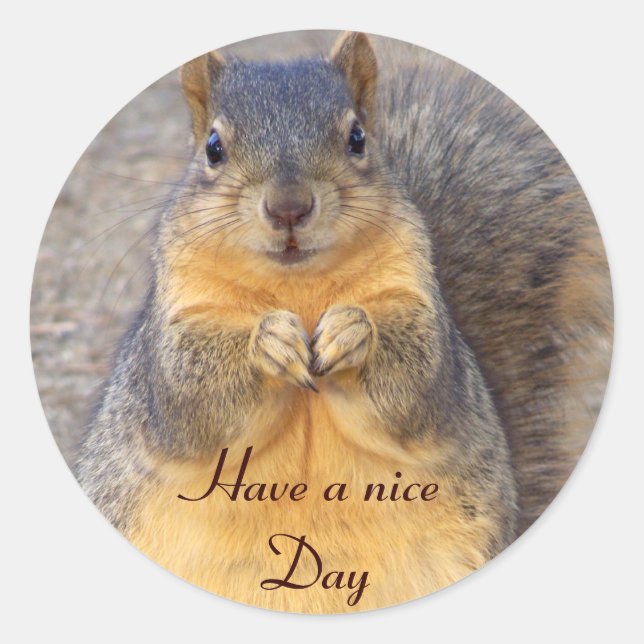 Hi, Hello_ Sticker (Front)