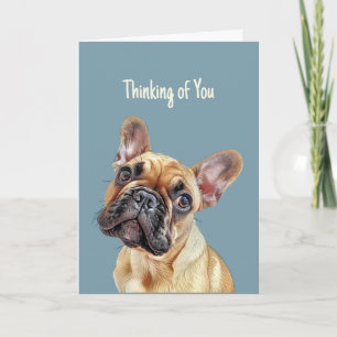 Hi Hello Thinking of You Cute French Bulldog Dog  Card