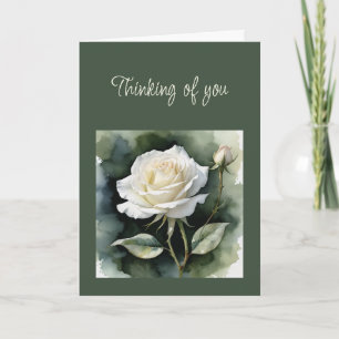 Hi Hello Thinking of You White Rose Greenery  Card
