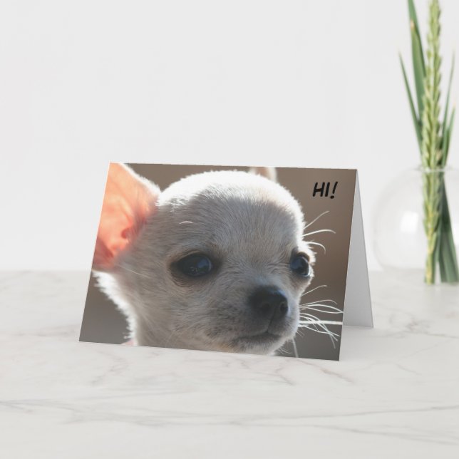 HI! HOLIDAY CARD (Front)