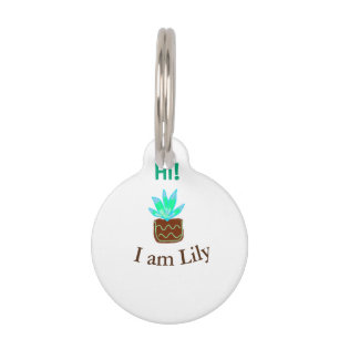 Hi I am Lily cactus succulent add name watercolor Pet Tag