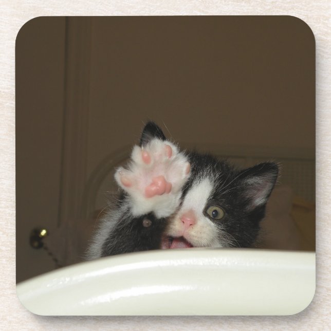 "Hi Kitten!" coasters (Front)