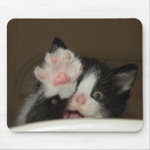 "Hi!" kitten mouse pad