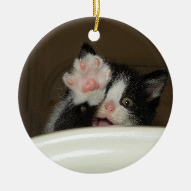 "Hi" Kitten Ornament (Front)