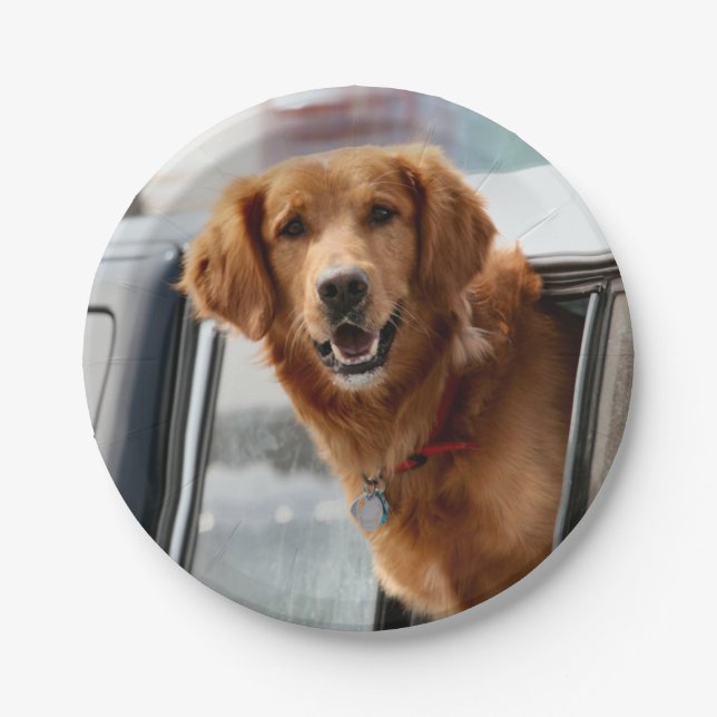 Hi Paper Plate (Front)