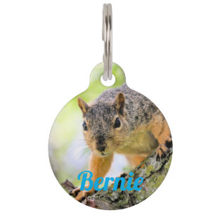 Hi Pet Tag