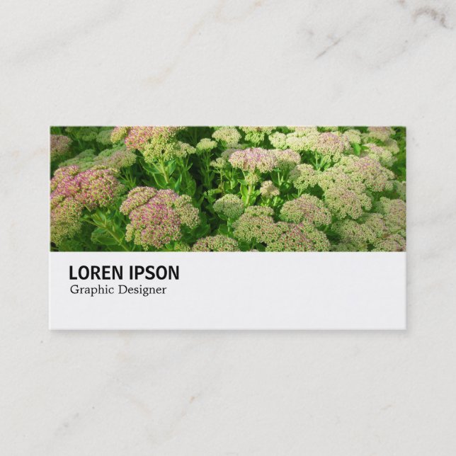 Hi-Phi - 0244 - Sedum "Autumn Joy" Business Card (Front)