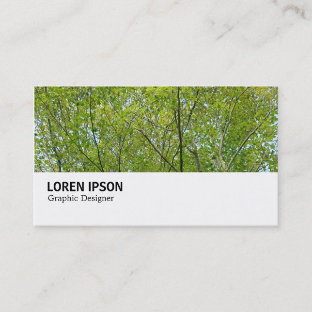 Hi-Phi - 0248 - Japanese Maple Business Card (Front)