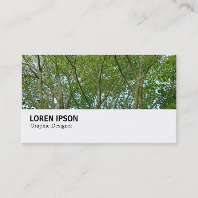 Hi-Phi - 0249 - Japanese Maple Business Card (Front)