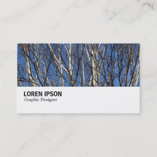 Hi-Phi - 0279 - Silver Birch Branches Business Card