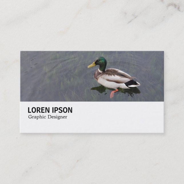 Hi-Phi - 0282 - Mallard Duck Business Card (Front)