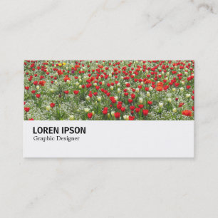 Hi-Phi - 0373 - Bed of Tulips Business Card