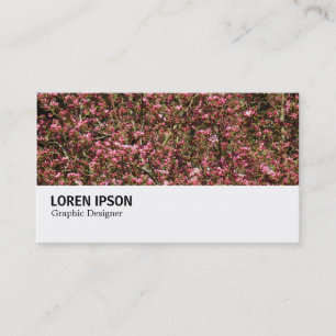 Hi-Phi - 0376 - Pink Cherry Blossoms Business Card
