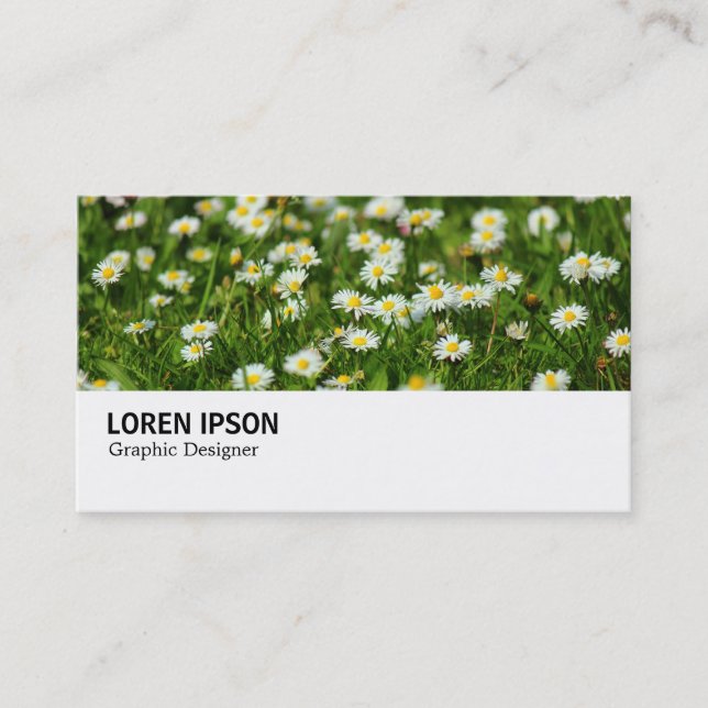 Hi-Phi - 0388 - Daisy Meadow Business Card (Front)
