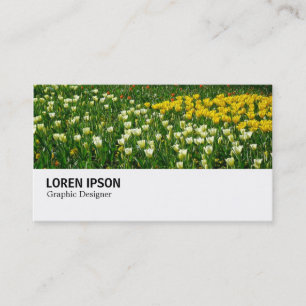 Hi-Phi - 038 - Bed of Tulips Business Card