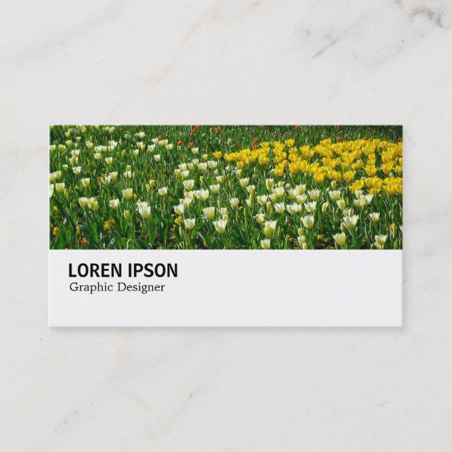 Hi-Phi - 038 - Bed of Tulips Business Card (Front)