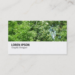 Hi-Phi - 080 - Summer Breeze Business Card