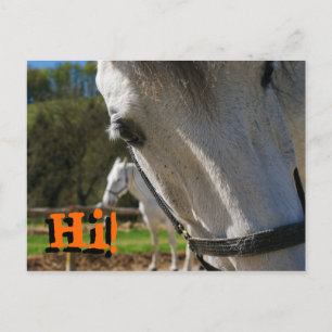 Hi! Postcard