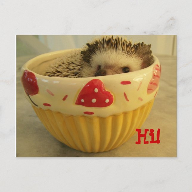 Hi ! postcard (Front)