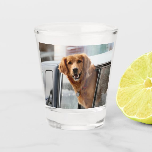 Hi Shot Glass (Front)