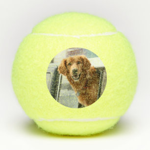 Hi Tennis Balls
