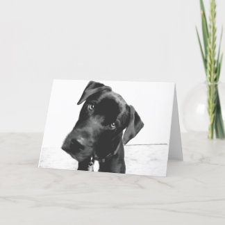 Hi there card