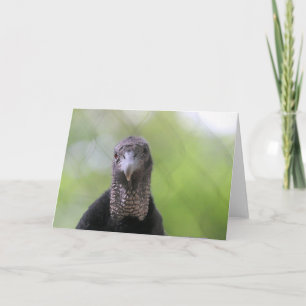 Hi there card