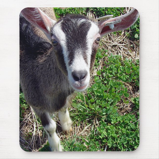 Hi There Goat Mouse Mat (Front)