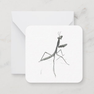 Hi there! Praying Mantis Card