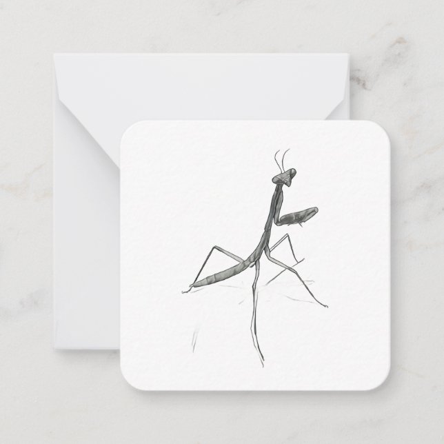 Hi there! Praying Mantis Card (Front)