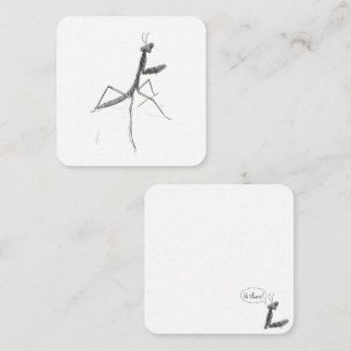 Hi there! Praying Mantis Card