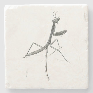 Hi there! Praying Mantis Stone Coaster