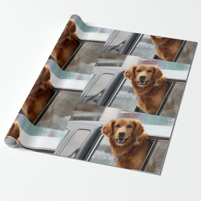 Hi Wrapping Paper (Unrolled)