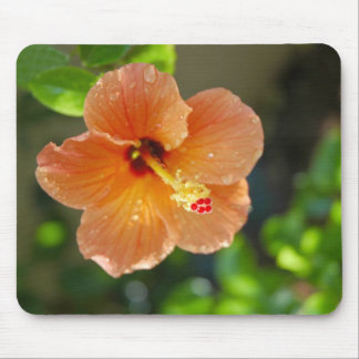 Hibiscis Flower Mousepad