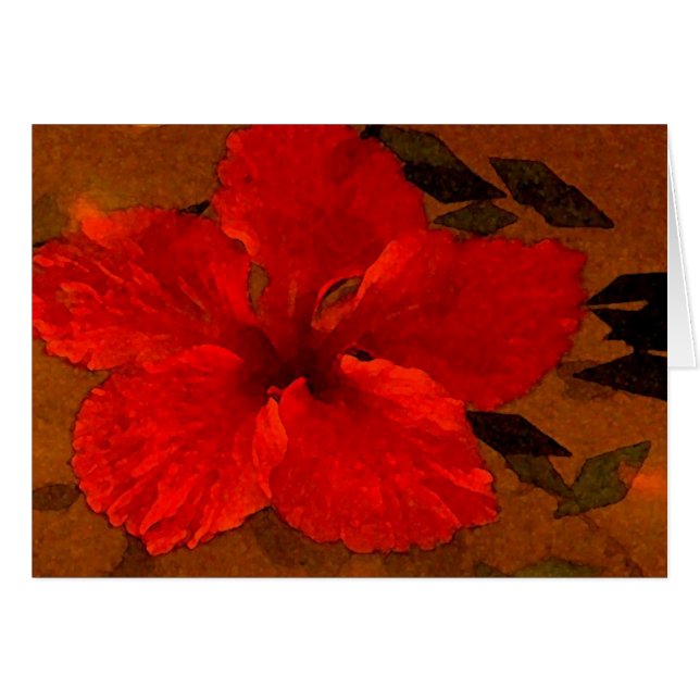 hibiscus-1 (Front Horizontal)