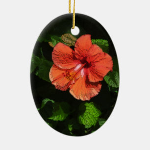 Hibiscus 424 Ornament